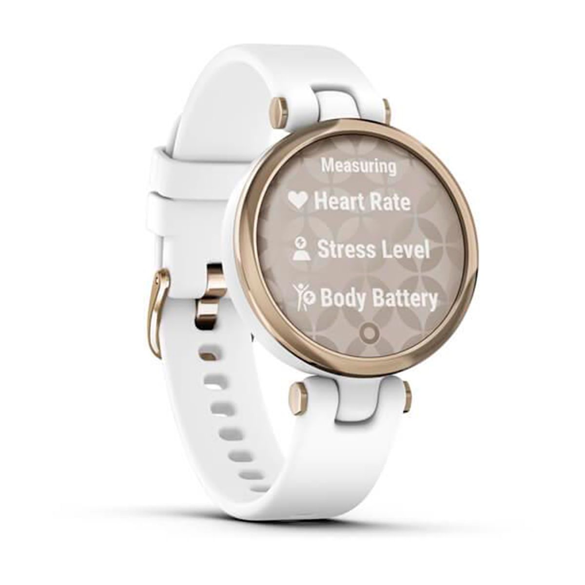 Reloj Lily Sport Garmin Mujer - Ansilta Mendoza - Siete Cumbres Nevadas-  Siete cumbres- Ansilta store mza